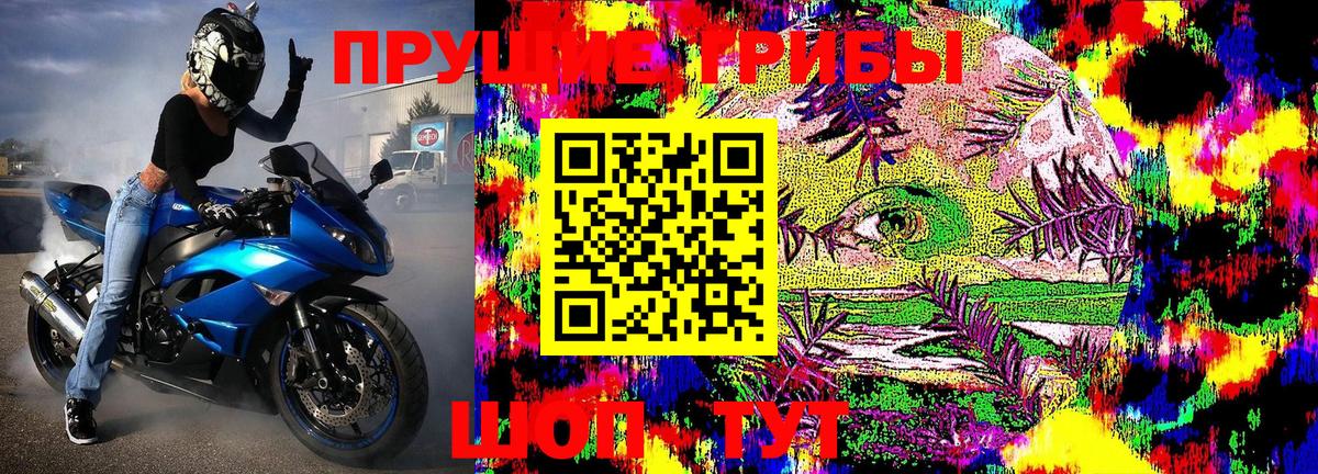 Псилоцибиновые грибы MAGIC MUSHROOMS  Галлюциногенные грибы мухоморы  цены   Рассказово  Вход с VPN 